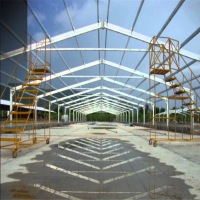 Construction Design Steel Structure Pig House