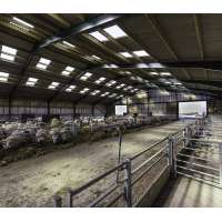 Pig Use and Welded H Steel Main Steel Structure Sheep Farm House